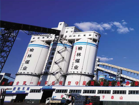 麻豆APP在线播放